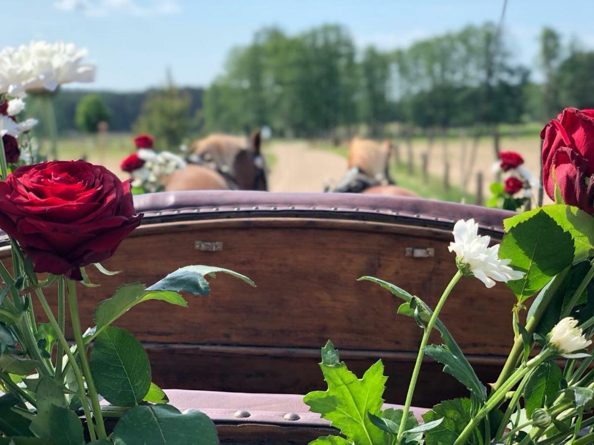 Willa Pferdehof Schorfheide Zewnętrze zdjęcie